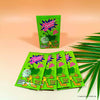 Pop Rocks Magic Gum Brausepulver Head of Skills