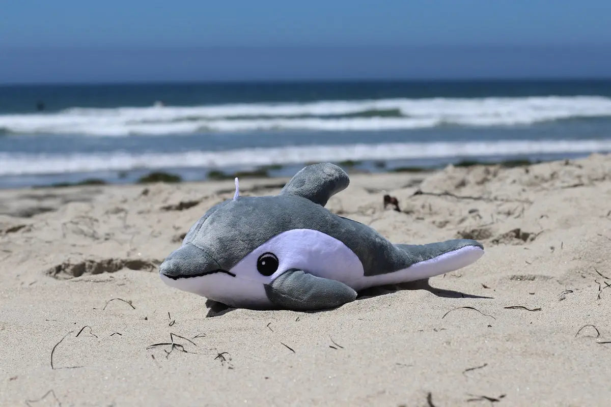Shore Buddy Finn der Delfin Head of Skills